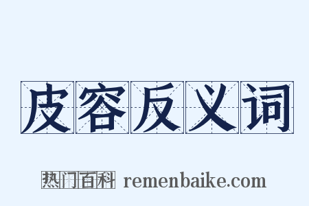 皮容反义词是什么意思的图片